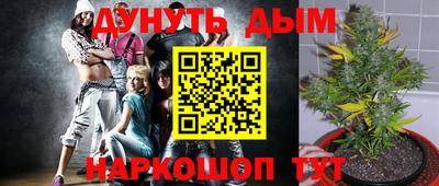 стафф Гусев